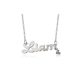  One Direction LIAM Steel Necklace