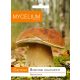  Mycelium Boletus Myzel 10 g