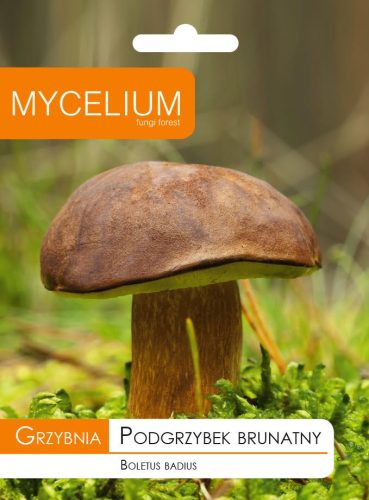  Mycelium Mycelium Brown Porcini Mushroom 0.01 kg