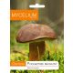  Mycelium Mycelium Brown Porcini Mushroom 0.01 kg