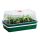 Greenhouses, Mini Greenhouses and Mini Greenhouses Mini Greenhouse 38.5 cm x 24 cm, Plastic