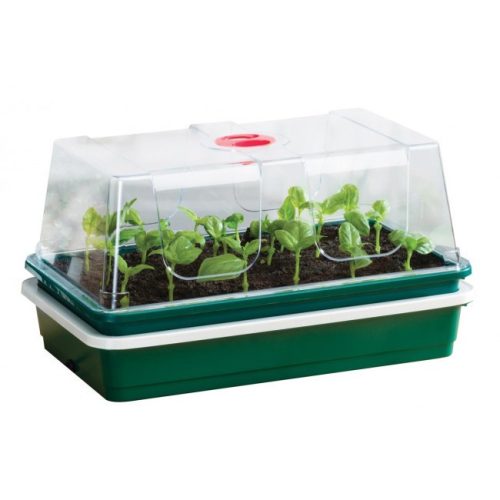 Greenhouses, Mini Greenhouses and Mini Greenhouses Mini Greenhouse 38.5 cm x 24 cm, Plastic