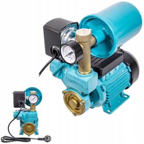  Omnigena 250 W 2100 l/h surface pump