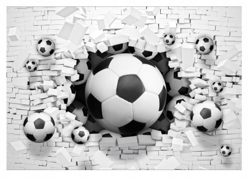 3D photo wallpaper FOOTBALL WALL BRICK BALLS 368x254