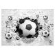 3D photo wallpaper FOOTBALL WALL BRICK BALLS 368x254