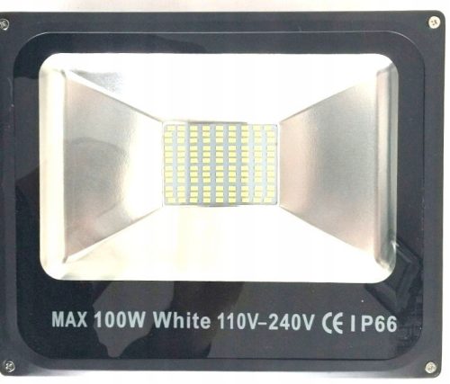 Halogens for outdoor and garden Halogen cold white 5600 lm 100 W