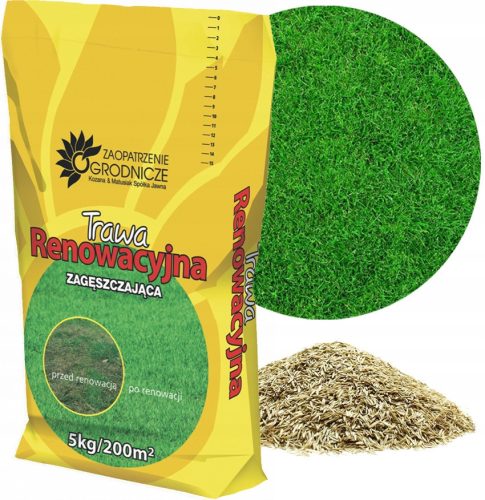  Decorative grass, for dry areas, for shady areas, garden, sports Granum 200 m² 5 kg