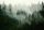 PHOTO WALLPAPER MOUNTAINS FOREST TREES 4A F3XL 416x254 F13026