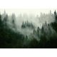 PHOTO WALLPAPER MOUNTAINS FOREST TREES 4A F3XL 416x254 F13026