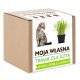  A kit for growing inflamed CAT GRASS