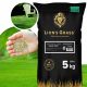  Rolmarket Garden Decorative Grass 200 m² 5 kg