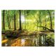 Photo wallpaper FOREST TREES FOG NATURE 3D VIEW 368x254