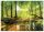 VINYL wallpaper forest trees nature 3D 368x254