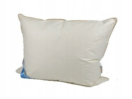  OREILLER EN DUVET 70X80 1,6 KG ECRI DEMI-OREILLER EN DUVET