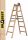 Drabest ladder 3.3 m wood 2 x 6 up to 150 kg