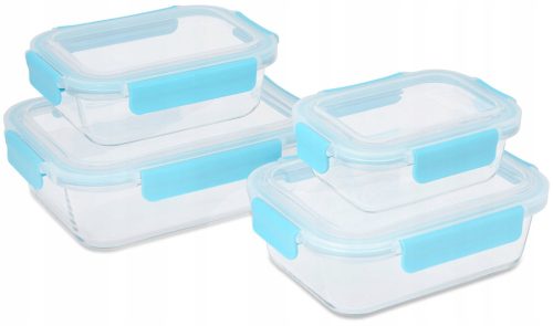 Food Containers GLASS LUNCH BOXES FOR FOOD, SET OF 4