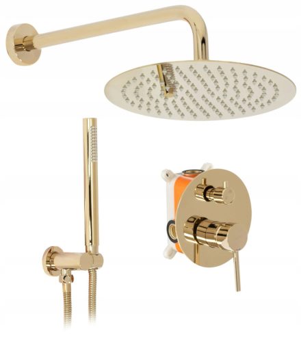 Rea Lungo Gold concealed shower set