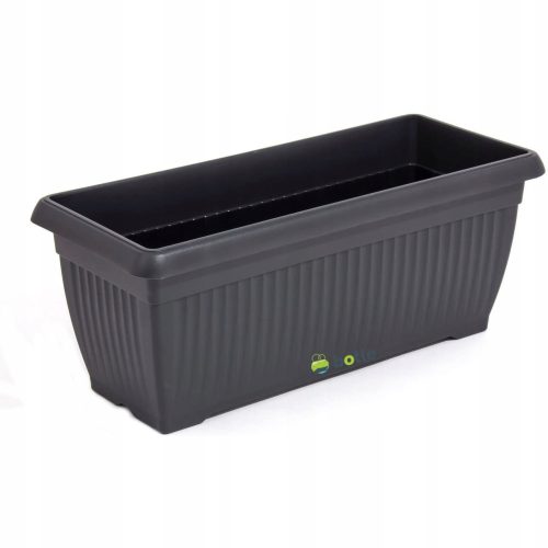  Rondo vine, seedling in 1-2l container, 20-25 cm