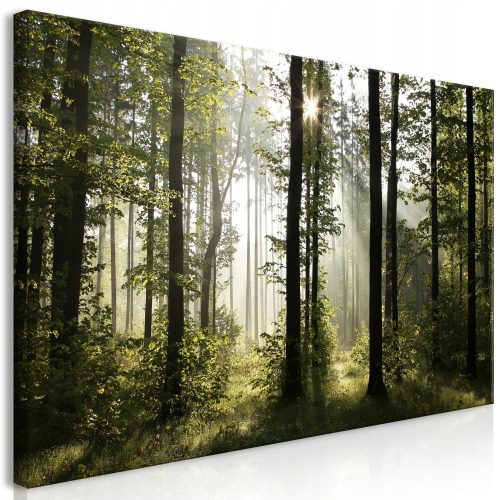 Bilder an der Wand OBRAZ XXXL DIY THE NATURES 160x80 cB-0254-ak-e