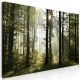 Bilder an der Wand OBRAZ XXXL DIY THE NATURES 160x80 cB-0254-ak-e