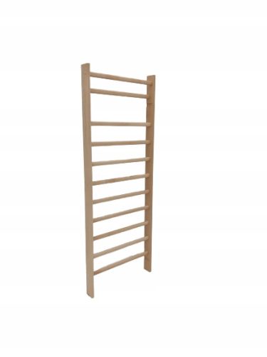  Gymnastic ladder STANDARD 220x80 cm