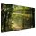  Image sur toile arbres forestiers 120x80