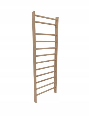  Gymnastic ladder STANDARD 240x70 cm