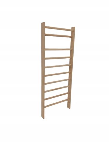  Dremar training ladder 200 cm x 90 cm