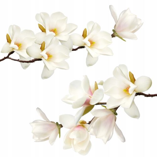  Wall Sticker Planned Magnolias 100 x 50 cm