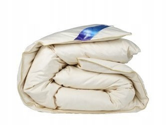  Couette en duvet 160 x 200, duvet et plumes 3,0 kg