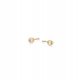  Gold-plated silver earrings with zircon ANIA KRUK