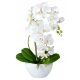  A gift for grandma and grandpa. ARTIFICIAL ORCHID